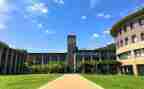 大学部长述职报告7篇