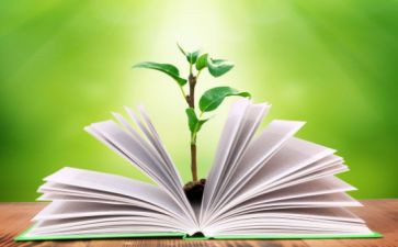 小学一学年教学工作计划5篇