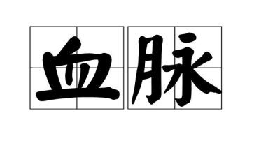 赓续红色血脉心得8篇