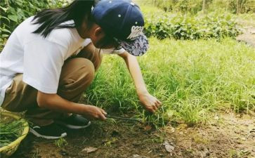 小学农村教研工作计划范文6篇