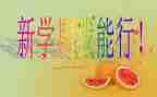 写个人这学期的总结报告5篇