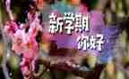 学生体育学期总结6篇
