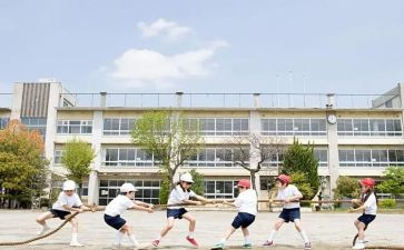 大学生心理课的心得体会5篇