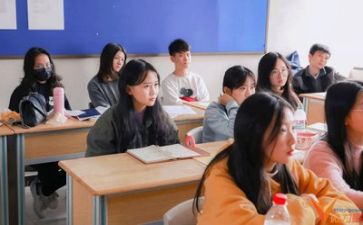 学习委个人总结最新6篇