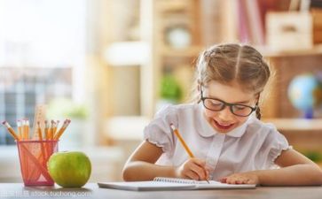 学习年个人总结5篇