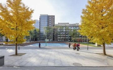学校安全及管理心得体会6篇