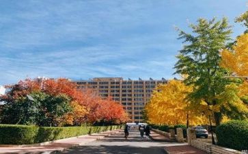 学校教师的培训心得体会6篇