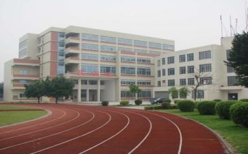 学校我体育工作总结推荐6篇