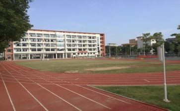 学校2024工作总结及2024年工作计划模板5篇