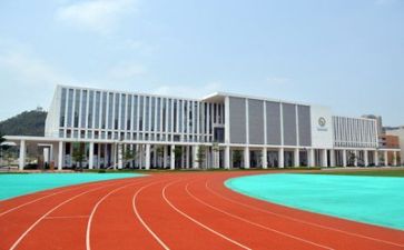 学校月个人总结8篇