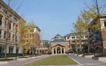 年终总结学校个人总结最新5篇