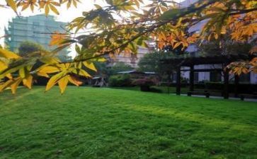 学校7.1活动总结精选5篇