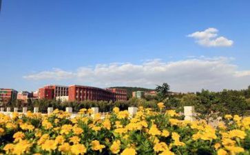 学校学习活动的总结8篇
