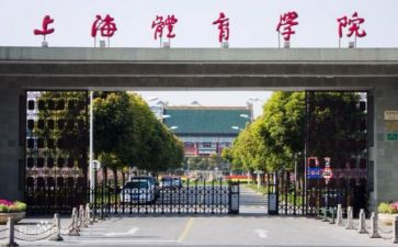 17学院工作总结5篇