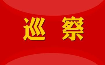 巡察组工作总结范文5篇