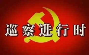 区巡察工作总结精选5篇