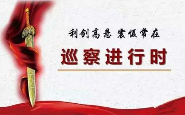 巡察月工作总结6篇
