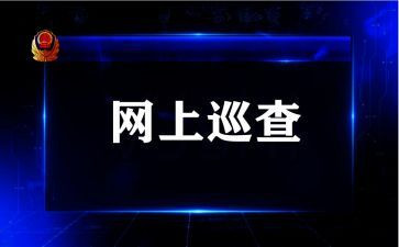 去巡查组工作总结6篇