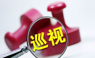 2023年年度巡查员工作总结7篇