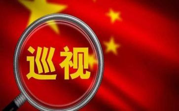 巡查年终工作总结5篇