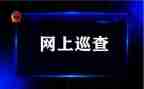 去巡查组工作总结6篇
