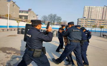 特巡警半年度工作总结5篇