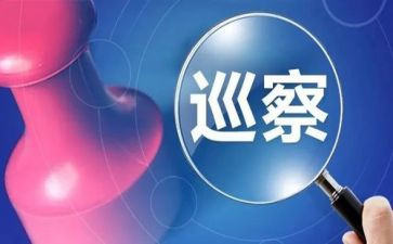 巡视工作心得体会7篇
