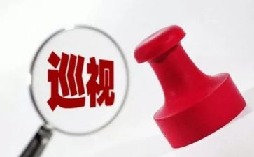 巡视后工作总结6篇