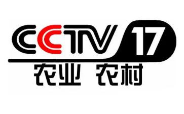 央视晚会心得体会8篇