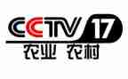 央视晚会心得体会8篇