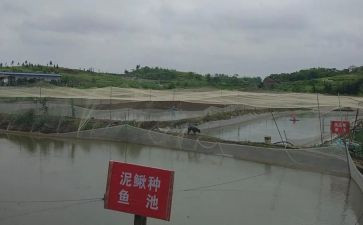 水产养殖合同7篇