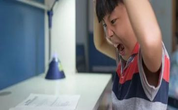 厌学调查报告7篇