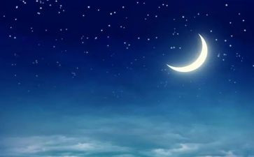 夜晚作文300字作文6篇