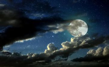 作文除夕之夜600字7篇