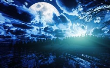 夏夜多美作文6篇