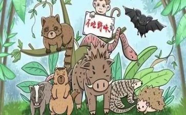 野味从我做起的演讲稿5篇