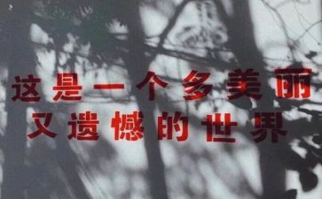 别给人生留遗憾作文7篇