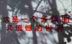 别给人生留遗憾作文7篇