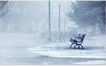 关于毅力的作文参考7篇