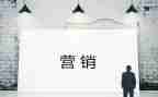 营销年终个人总结最新8篇