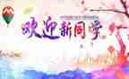 迎新晚会活动总结优秀6篇