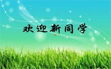 2024学校迎新活动方案策划8篇