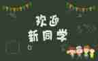 2024年幼儿园迎新活动方案6篇