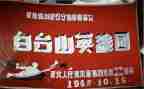 英雄历史事迹7篇