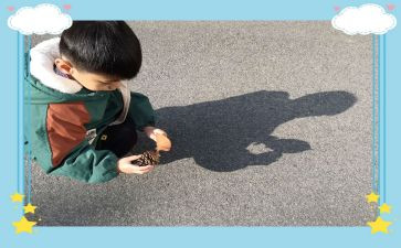 幼儿园大班画影子教案5篇