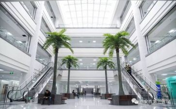 医院总结及工作计划5篇