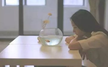 我的优点作文6篇