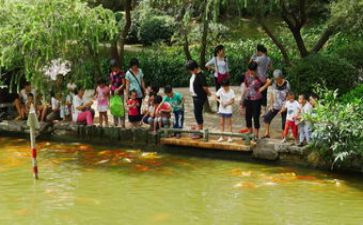 2024年幼儿园游园活动方案模板6篇