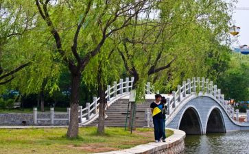 元旦游园活动方案及策划5篇