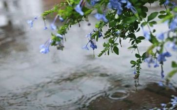 秋天的雨作文二年级作文8篇